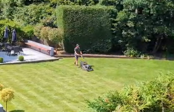 Freshly cared for green lawn